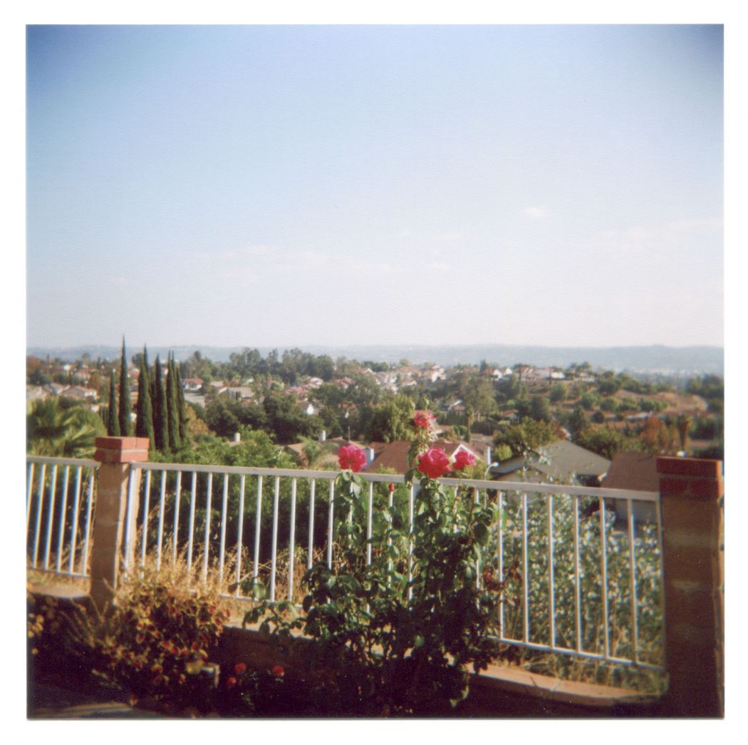 The View with Roses