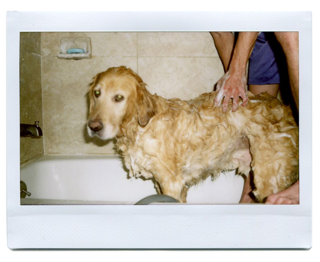 Bath of Shame