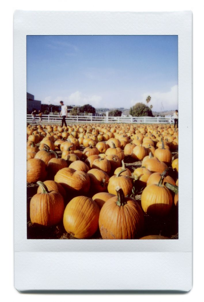 Pumpkins